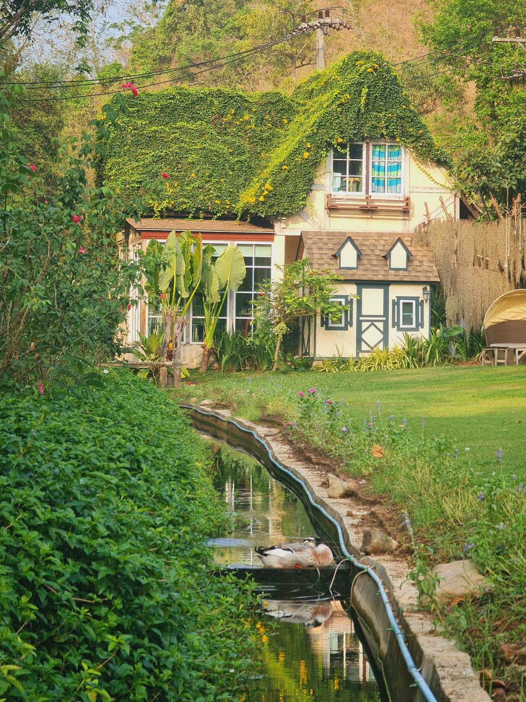 bellissimo cafe & resort, bibury resort, release pool villa resort, rewild camp&cafe, swiss valley สวนผึ้ง, terrua main ten villa, ขุนเขา ตำนาน ไพร, ที่พักสวนผึ้ง, ที่พักสวนผึ้ง 2024, ที่พักสวนผึ้ง 2025, ที่พักสวนผึ้ง 2567, ที่พักสวนผึ้ง 2568, ที่พักสวนผึ้ง มีสระว่ายน้ํา, ที่พักสวนผึ้ง สวยๆ, ที่พักสวนผึ้ง แนะนำ, บางเวลา สวนผึ้ง รีสอร์ท, บ้านอ้อมกอดขุนเขา, ปั้นหยา ชาเล่ต์ รีสอร์ท, พนาลี โฮม แอนด์ แคมปิ้ง, พอเพลิน ฮิบรีสอร์ท, รัก ณ สวนผึ้ง รีสอร์ท, รีลีส พูล วิลล่า รีสอร์ท, รีสอร์ท สวนผึ้ง, ลา ทอสคาน่า รีสอร์ท, ลาโพรวองซ์ สวนผึ้ง, วิลล่า โมรีดา, วิลลาทัสคานี คันทรี รีสอร์ท, สวิส วัลเลย์ ฮิพ รีสอร์ท, สแตมป์ ฮิลล์ รีสอร์ต, อัศจารา รีสอร์ท, อาสคาญ่า บูติค รีสอร์ท, เดอะ โลเคชั่น รีสอร์ท, เดอะบันยัน ลีฟ รีสอร์ท, เทอรัว เมน เท็น วิลล่า, แดนดิไลออน สวนผึ้ง, แทมมารีน วิลล่า, ไบบุรี รีสอร์ท, ไฮซีน รีสอร์ท, top 20+ ที่พักสวนผึ้ง 2024 บรรยากาศธรรมชาติ พักผ่อนกลางหุบเขา