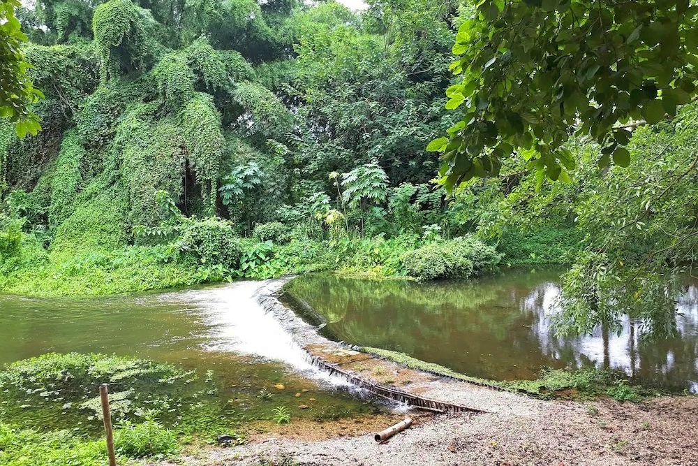 bellissimo cafe & resort, bibury resort, release pool villa resort, rewild camp&cafe, swiss valley สวนผึ้ง, terrua main ten villa, ขุนเขา ตำนาน ไพร, ที่พักสวนผึ้ง, ที่พักสวนผึ้ง 2024, ที่พักสวนผึ้ง 2025, ที่พักสวนผึ้ง 2567, ที่พักสวนผึ้ง 2568, ที่พักสวนผึ้ง มีสระว่ายน้ํา, ที่พักสวนผึ้ง สวยๆ, ที่พักสวนผึ้ง แนะนำ, บางเวลา สวนผึ้ง รีสอร์ท, บ้านอ้อมกอดขุนเขา, ปั้นหยา ชาเล่ต์ รีสอร์ท, พนาลี โฮม แอนด์ แคมปิ้ง, พอเพลิน ฮิบรีสอร์ท, รัก ณ สวนผึ้ง รีสอร์ท, รีลีส พูล วิลล่า รีสอร์ท, รีสอร์ท สวนผึ้ง, ลา ทอสคาน่า รีสอร์ท, ลาโพรวองซ์ สวนผึ้ง, วิลล่า โมรีดา, วิลลาทัสคานี คันทรี รีสอร์ท, สวิส วัลเลย์ ฮิพ รีสอร์ท, สแตมป์ ฮิลล์ รีสอร์ต, อัศจารา รีสอร์ท, อาสคาญ่า บูติค รีสอร์ท, เดอะ โลเคชั่น รีสอร์ท, เดอะบันยัน ลีฟ รีสอร์ท, เทอรัว เมน เท็น วิลล่า, แดนดิไลออน สวนผึ้ง, แทมมารีน วิลล่า, ไบบุรี รีสอร์ท, ไฮซีน รีสอร์ท, top 20+ ที่พักสวนผึ้ง 2024 บรรยากาศธรรมชาติ พักผ่อนกลางหุบเขา