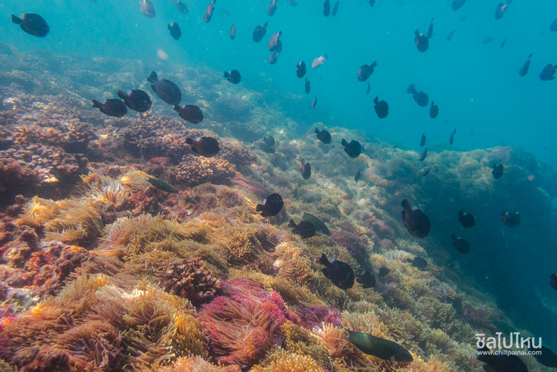 top 15+ กิจกรรม unseen ทั่วไทยที่ต้องไปทำให้ได้สักครั้ง