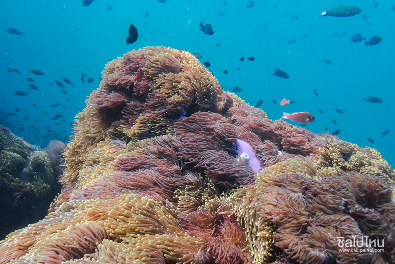 top 15+ กิจกรรม unseen ทั่วไทยที่ต้องไปทำให้ได้สักครั้ง