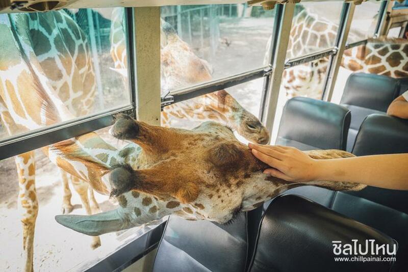 top 15+ กิจกรรม unseen ทั่วไทยที่ต้องไปทำให้ได้สักครั้ง