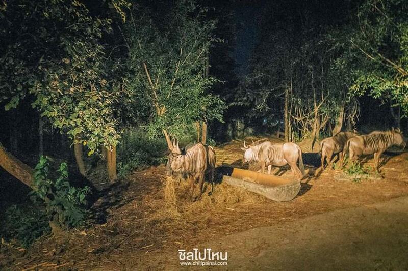 top 15+ กิจกรรม unseen ทั่วไทยที่ต้องไปทำให้ได้สักครั้ง