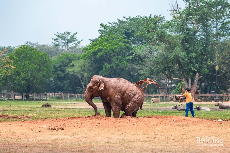 top 15+ กิจกรรม unseen ทั่วไทยที่ต้องไปทำให้ได้สักครั้ง