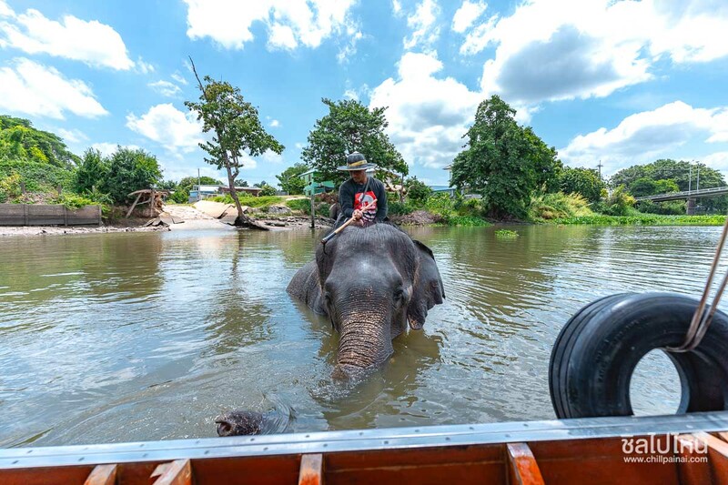 top 15+ กิจกรรม unseen ทั่วไทยที่ต้องไปทำให้ได้สักครั้ง