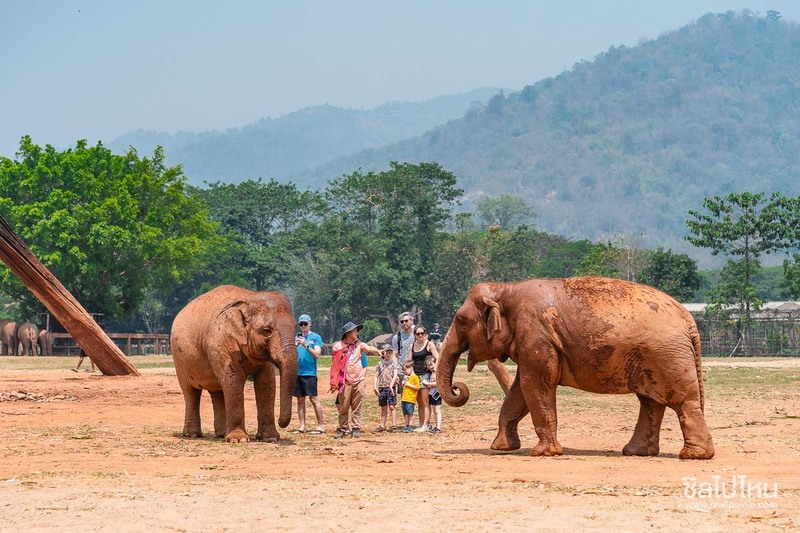 top 15+ กิจกรรม unseen ทั่วไทยที่ต้องไปทำให้ได้สักครั้ง