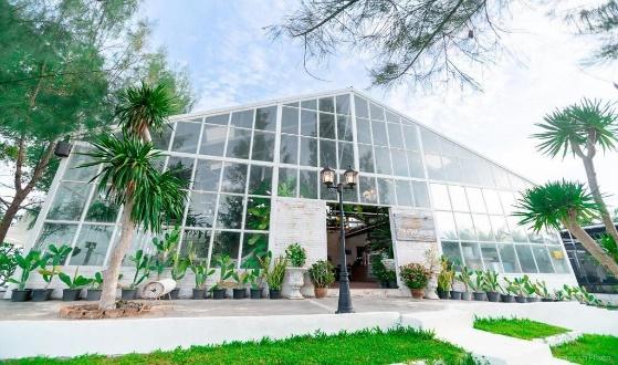 top 5+ คาเฟ่จ.ชุมพร ร้านสวย มีสไตล์ บรรยากาศไม่ซ้ำใคร