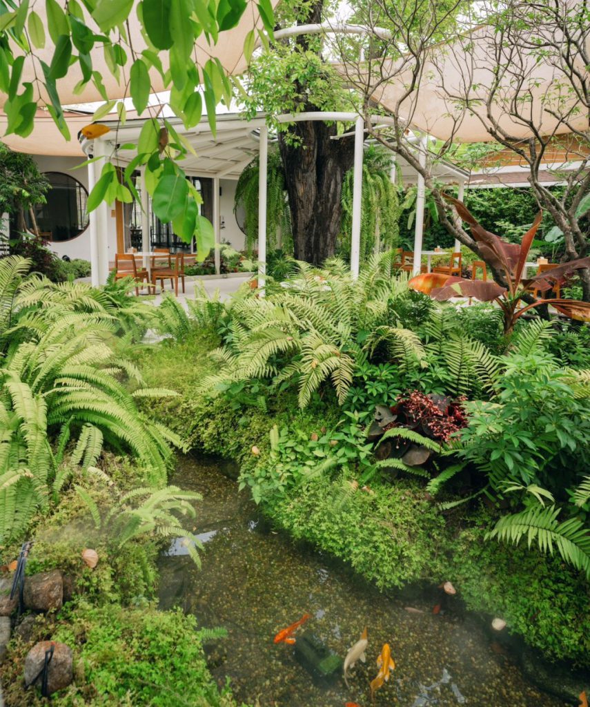 a keen house, anonymous coffee, caffe olives, camin cuisine & cafe, come escape cafe, fats and angry, flerwows, found cafe, green & been, huus plate, nana coffee roasters, natura cafe, natura garden cafe, ninetail on radio cafe, oakland cafe x restaurant, other cafe, other cafe รางน้ำ, rolling roasters, scene secret house, snog xx, vanillian inc., walden home cafe, ขมิ้น คาเฟ่, คาเฟ่ กทม, คาเฟ่ กรุงเทพ, คาเฟ่ ในกรุงเทพ, คาเฟ่กรุงเทพ, คาเฟ่กรุงเทพ 2024, คาเฟ่กรุงเทพ 2567, คาเฟ่น่ารัก, คาเฟ่ฝั่งธน, คาเฟ่สวย, คาเฟ่และบาร์กทม., คาเฟ่ใกล้ฉัน, คาเฟ่ในกรุงเทพ 2024, คาเฟ่ในกรุงเทพ 2567, บาร์ในกรุงเทพ, อะนอนีมัสคอฟฟี่, เฟลอวาวซ์ คาเฟ่, แนทชูล่า คาเฟ่, โรลลิ่ง โรสเตอร์, top 20+ คาเฟ่กรุงเทพ 2024 บรรยากาศดี น่านั่ง จิบชากาแฟชิลล์ ๆ พร้อมมุมถ่ายรูปเล่นส้วยสวย