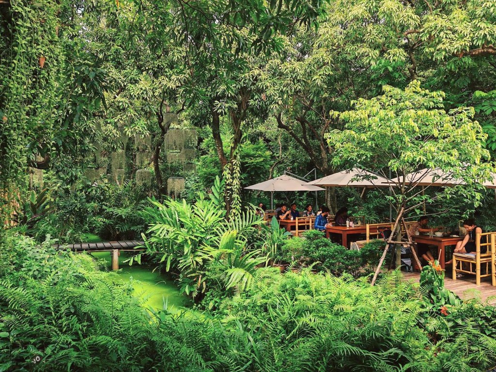 a keen house, anonymous coffee, caffe olives, camin cuisine & cafe, come escape cafe, fats and angry, flerwows, found cafe, green & been, huus plate, nana coffee roasters, natura cafe, natura garden cafe, ninetail on radio cafe, oakland cafe x restaurant, other cafe, other cafe รางน้ำ, rolling roasters, scene secret house, snog xx, vanillian inc., walden home cafe, ขมิ้น คาเฟ่, คาเฟ่ กทม, คาเฟ่ กรุงเทพ, คาเฟ่ ในกรุงเทพ, คาเฟ่กรุงเทพ, คาเฟ่กรุงเทพ 2024, คาเฟ่กรุงเทพ 2567, คาเฟ่น่ารัก, คาเฟ่ฝั่งธน, คาเฟ่สวย, คาเฟ่และบาร์กทม., คาเฟ่ใกล้ฉัน, คาเฟ่ในกรุงเทพ 2024, คาเฟ่ในกรุงเทพ 2567, บาร์ในกรุงเทพ, อะนอนีมัสคอฟฟี่, เฟลอวาวซ์ คาเฟ่, แนทชูล่า คาเฟ่, โรลลิ่ง โรสเตอร์, top 20+ คาเฟ่กรุงเทพ 2024 บรรยากาศดี น่านั่ง จิบชากาแฟชิลล์ ๆ พร้อมมุมถ่ายรูปเล่นส้วยสวย