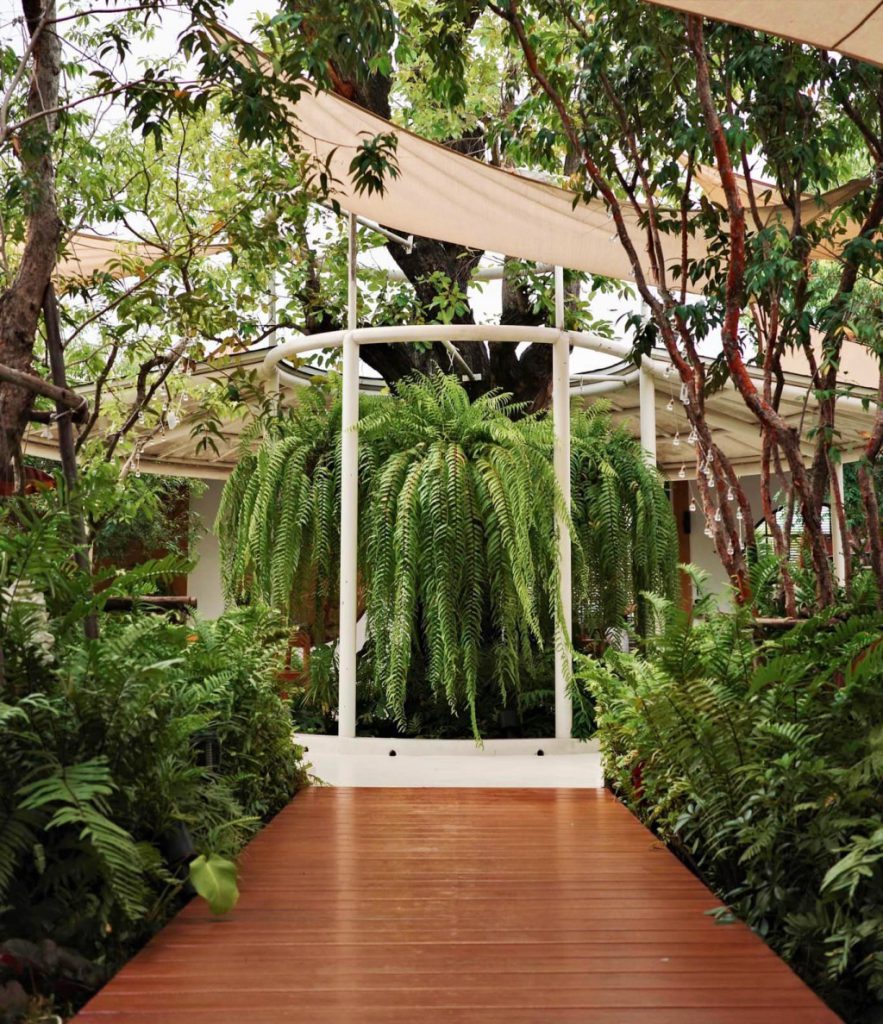 a keen house, anonymous coffee, caffe olives, camin cuisine & cafe, come escape cafe, fats and angry, flerwows, found cafe, green & been, huus plate, nana coffee roasters, natura cafe, natura garden cafe, ninetail on radio cafe, oakland cafe x restaurant, other cafe, other cafe รางน้ำ, rolling roasters, scene secret house, snog xx, vanillian inc., walden home cafe, ขมิ้น คาเฟ่, คาเฟ่ กทม, คาเฟ่ กรุงเทพ, คาเฟ่ ในกรุงเทพ, คาเฟ่กรุงเทพ, คาเฟ่กรุงเทพ 2024, คาเฟ่กรุงเทพ 2567, คาเฟ่น่ารัก, คาเฟ่ฝั่งธน, คาเฟ่สวย, คาเฟ่และบาร์กทม., คาเฟ่ใกล้ฉัน, คาเฟ่ในกรุงเทพ 2024, คาเฟ่ในกรุงเทพ 2567, บาร์ในกรุงเทพ, อะนอนีมัสคอฟฟี่, เฟลอวาวซ์ คาเฟ่, แนทชูล่า คาเฟ่, โรลลิ่ง โรสเตอร์, top 20+ คาเฟ่กรุงเทพ 2024 บรรยากาศดี น่านั่ง จิบชากาแฟชิลล์ ๆ พร้อมมุมถ่ายรูปเล่นส้วยสวย