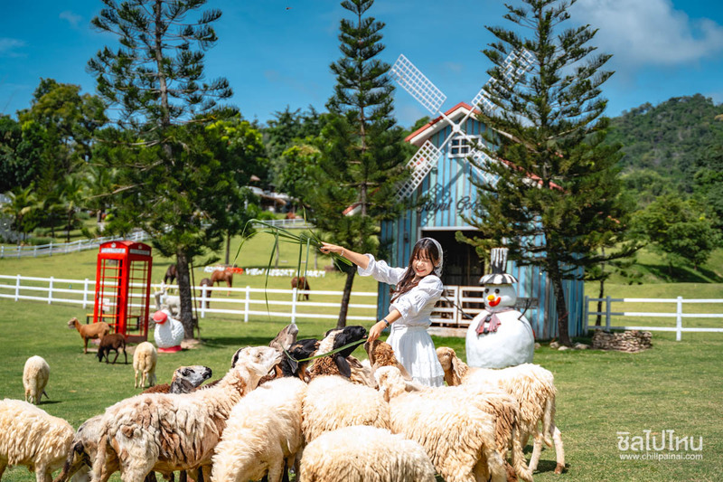 top 10+ ที่พักสวนผึ้ง ราชบุรี วิวดี ถ่ายรูปสวย