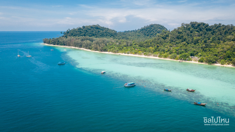 รีวิว one day trip ดำน้ำเที่ยวทะเลตรัง 4 เกาะ ถ้ำมรกต + เกาะกระดาน + เกาะแหวน + เกาะเชือก คนละ 950 บาท