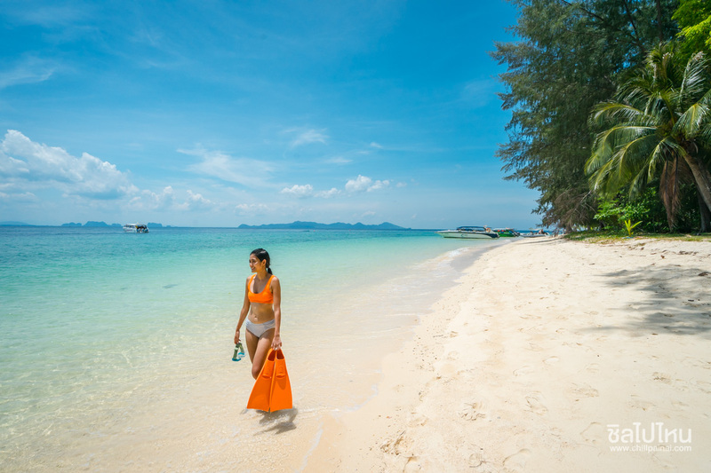 รีวิว one day trip ดำน้ำเที่ยวทะเลตรัง 4 เกาะ ถ้ำมรกต + เกาะกระดาน + เกาะแหวน + เกาะเชือก คนละ 950 บาท