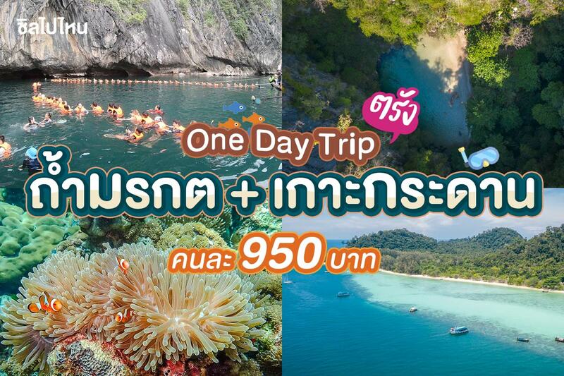 รีวิว one day trip ดำน้ำเที่ยวทะเลตรัง 4 เกาะ ถ้ำมรกต + เกาะกระดาน + เกาะแหวน + เกาะเชือก คนละ 950 บาท