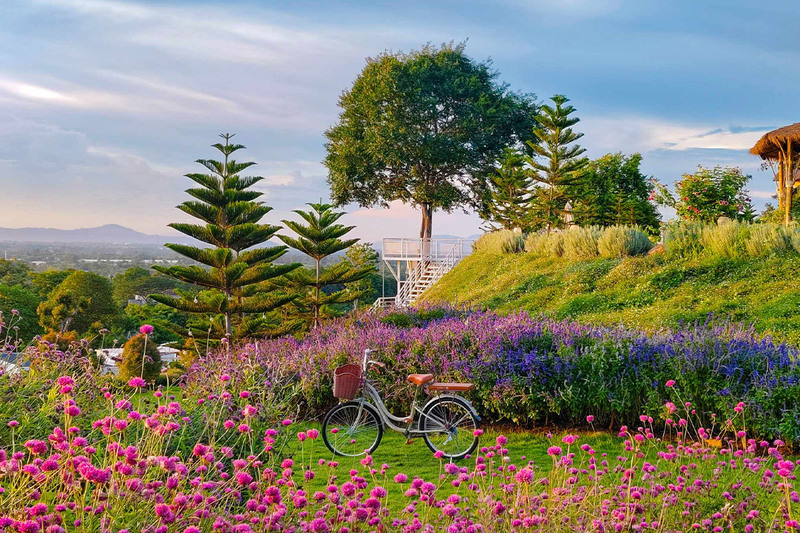 top 10+ คาเฟ่เขาใหญ่ สุดฮิตท่ามกลางธรรมชาติสวนดอกไม้และวิวภูเขา