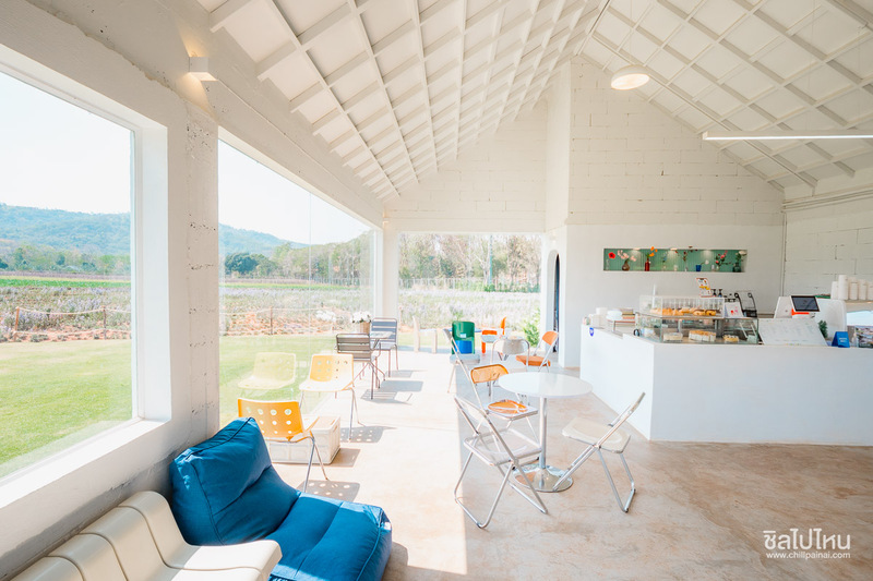 top 10+ คาเฟ่เขาใหญ่ สุดฮิตท่ามกลางธรรมชาติสวนดอกไม้และวิวภูเขา