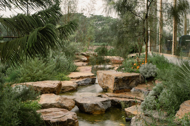 top 10+ คาเฟ่เขาใหญ่ สุดฮิตท่ามกลางธรรมชาติสวนดอกไม้และวิวภูเขา