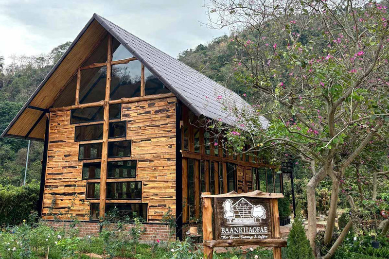 top 10+ คาเฟ่เขาใหญ่ สุดฮิตท่ามกลางธรรมชาติสวนดอกไม้และวิวภูเขา