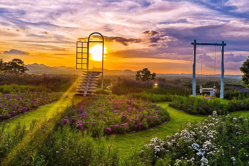 top 10+ คาเฟ่เขาใหญ่ สุดฮิตท่ามกลางธรรมชาติสวนดอกไม้และวิวภูเขา