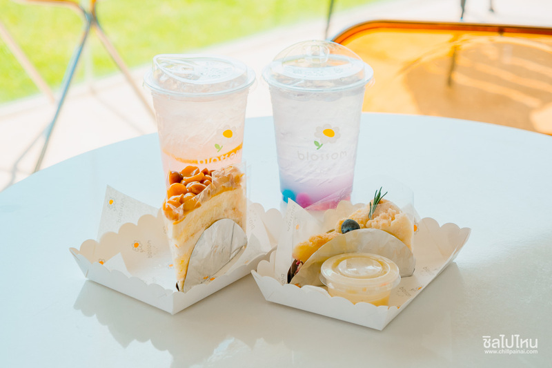 top 10+ คาเฟ่เขาใหญ่ สุดฮิตท่ามกลางธรรมชาติสวนดอกไม้และวิวภูเขา