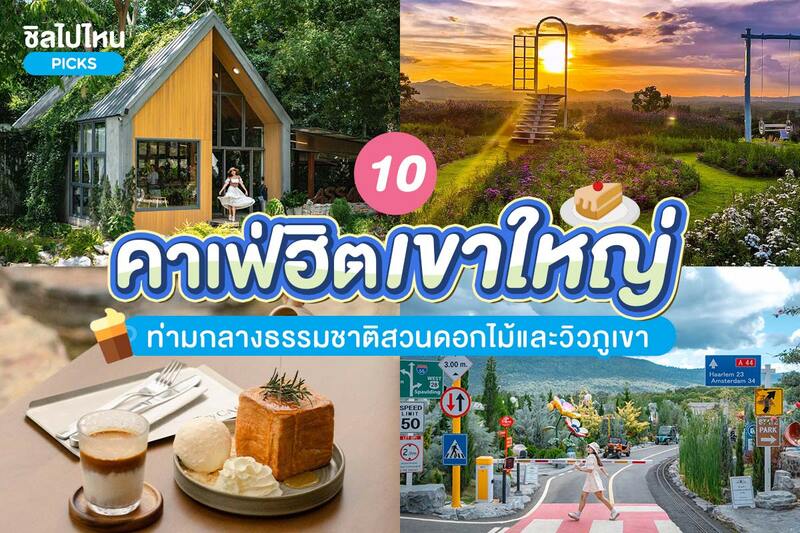 top 10+ คาเฟ่เขาใหญ่ สุดฮิตท่ามกลางธรรมชาติสวนดอกไม้และวิวภูเขา