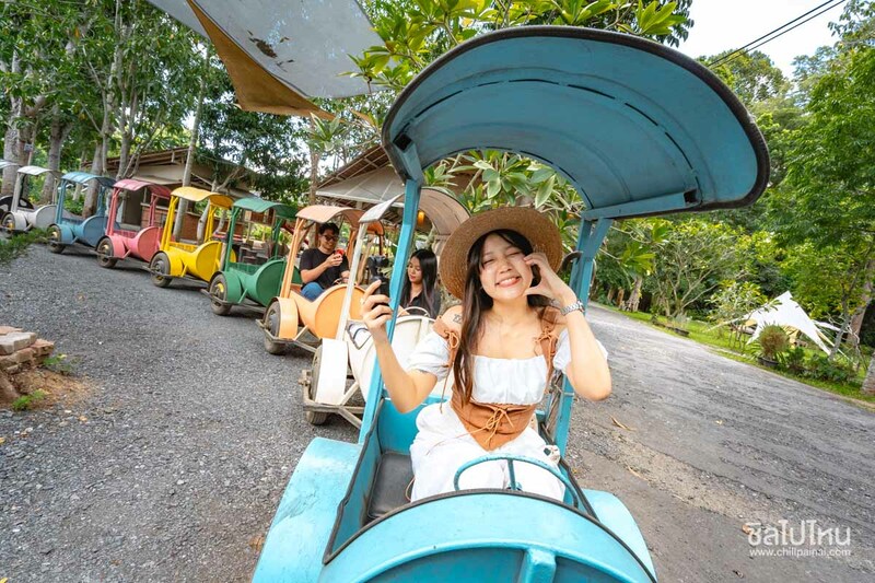 top 10+ คาเฟ่เขาใหญ่ สุดฮิตท่ามกลางธรรมชาติสวนดอกไม้และวิวภูเขา