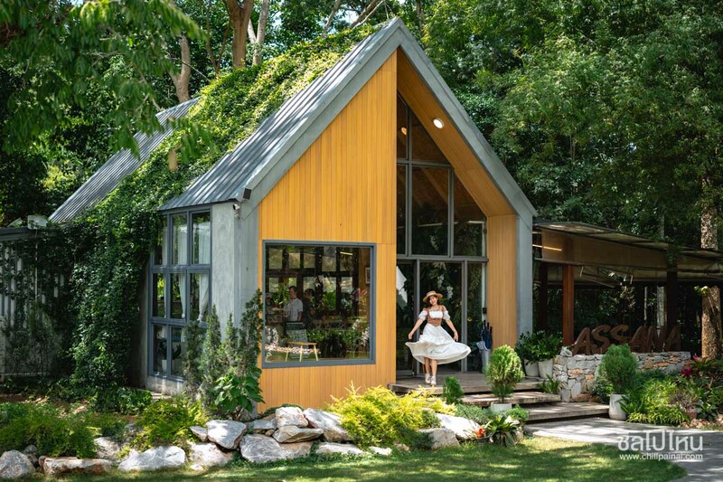 top 10+ คาเฟ่เขาใหญ่ สุดฮิตท่ามกลางธรรมชาติสวนดอกไม้และวิวภูเขา