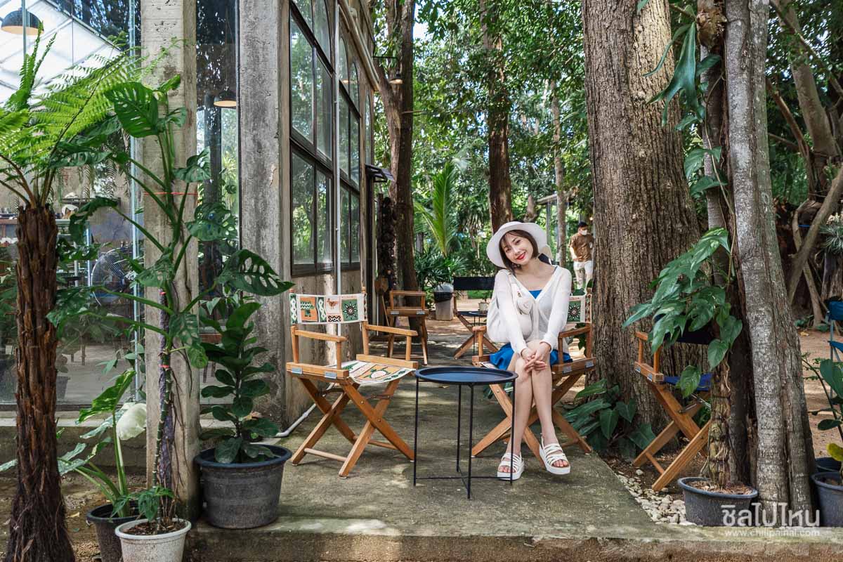 top 10+ คาเฟ่พัทยา ต้อนรับสัตว์เลี้ยง มุมถ่ายรูปสุดปัง