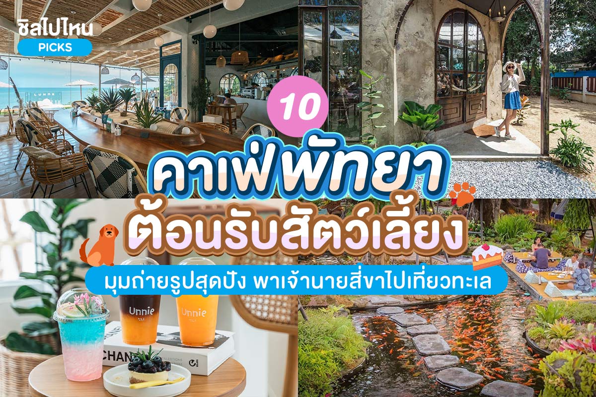 top 10+ คาเฟ่พัทยา ต้อนรับสัตว์เลี้ยง มุมถ่ายรูปสุดปัง