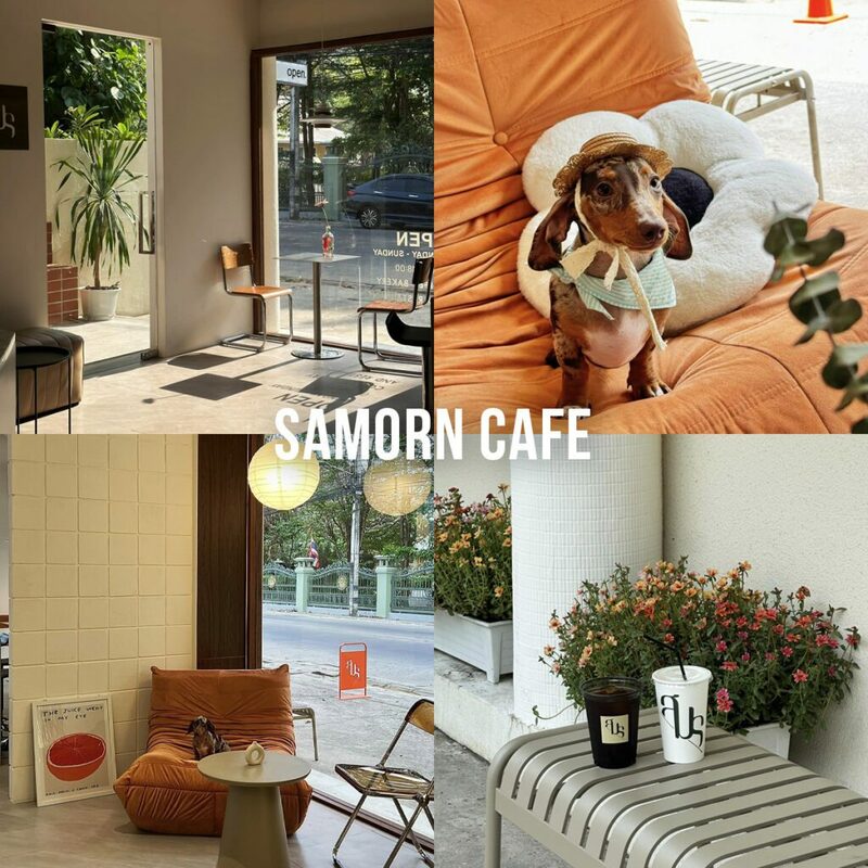 พิกัดเช็คอิน 20 คาเฟ่เชียงใหม่เปิดใหม่ 2024 ยอดฮิต!