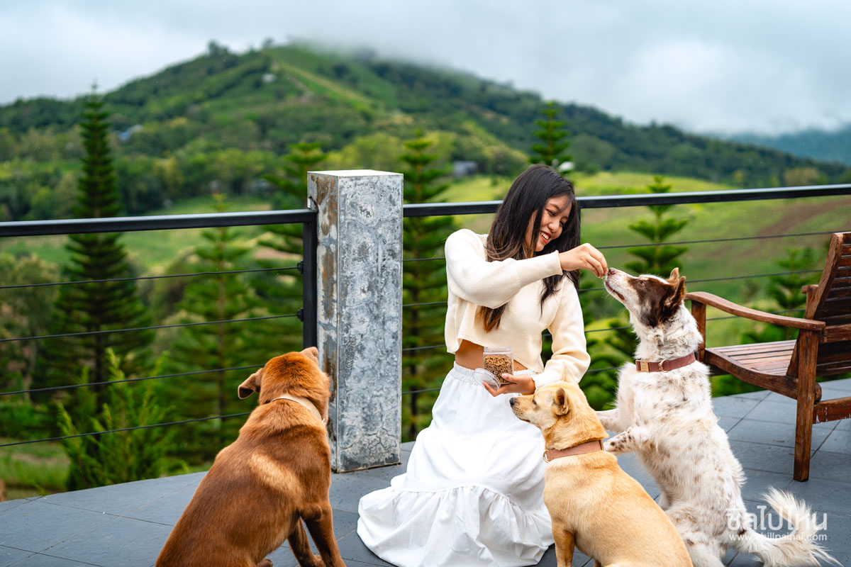 top 10+ ที่พักเขาค้อวิวดี หนาวนี้ไปฟินชมวิวทะเลหมอกกัน